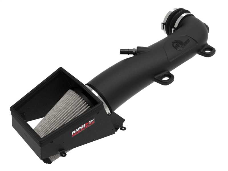 Rapid Induction Pro DRY S Air Intake System 52-10008D